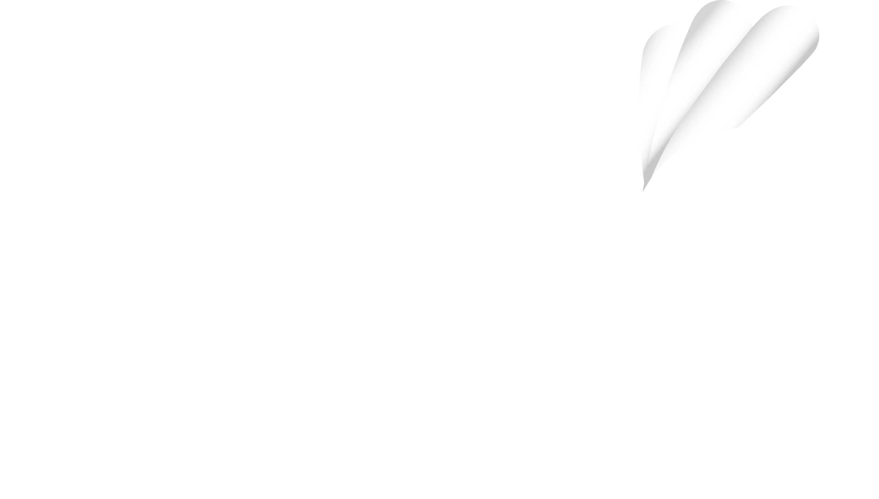 ALLG Logo_WhiteFLat